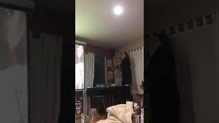 Mom faces off BIG spider with help of family dog...