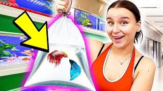 Ich zeige euch MEINE FISCHE   Aquarium kaufen & Einrichten  - Celina