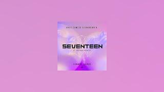 Anas Sameer & Unknown N. - Seventeen feat. Nathan Brumley Summer Sounds Release