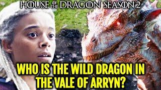 Which Is The Wild Dragon In The Vale Of Arryn And How He Changes Two Important Sub Plots InHotD