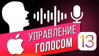 Как управлять голосом на iPhone в iOS 13? Управляем голосом БЕЗ ИНТЕРНЕТА и SIRI