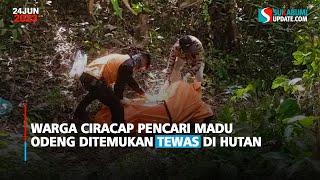 Warga Ciracap Pencari Madu Odeng Ditemukan Tewas di Hutan