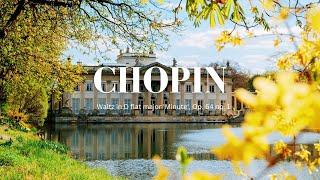 一小時版本）蕭邦降D大調「小狗圓舞曲」，作品64之1 - Chopin Waltz in D flat major Minute Op. 64 no. 1