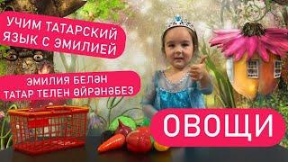 Учим татарский язык с ЭМИЛИЕЙ  Овощи