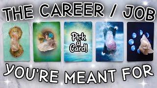  What Career  Job Are You Made For?  PICK A CARD  Timeless Psychic Tarot Reading ‍