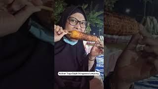 Kuliner Tugu Gajah Pringsewu Lampung