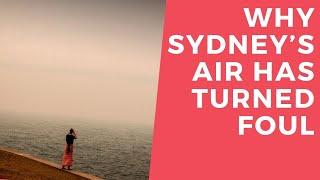 Why Sydney’s Air Has Turned Foul  Indiatimes