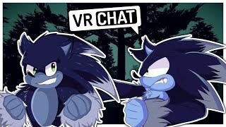 Movie Sonic The Werehog And Modern Sonic The Werehog Train Together In VRCHAT