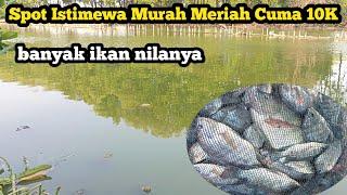 Spot Istimewa. Murah Meriah Cuma 10K Banyak Ikan Nila Nya