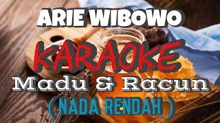 Arie Wibowo - Madu & Racun Karaoke MUSIK version