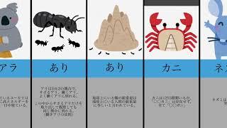 生き物の雑学10選