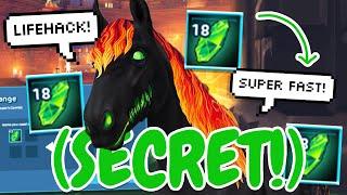 *SECRET* BEST *NEW* WAY TO GET SOUL SHARDS  In Star Stable Gallopers Gambit Lifehack