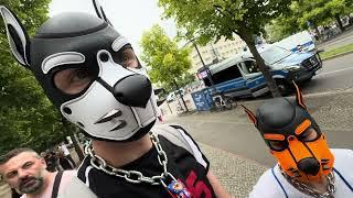 27.07.2024 Puppy-Play Fetisch auf #CSD #Berlin #pridemonth