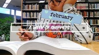 STUDY vlog  studyout at barnes & noble and the library