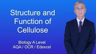A Level Biology Revision Structure and Function of Cellulose