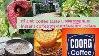 coffee plantation visit enjoy the taste of original coffee powder see dottabetta peak from mysuru