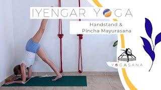 IYENGAR YOGA - Handstand & Pincha Mayurasana