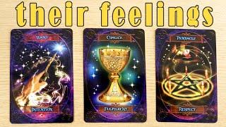 THEIR FEELINGS FOR YOU RIGHT NOW ACTIONS FUTURE PICK A CARD TIMELESS TAROT READING