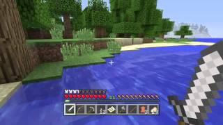 Minecraft PlayStation®4 Edition #001 Gast ?