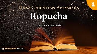 Hans Christian Andersen Ropucha 12