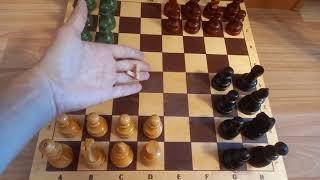 Ведические шахматы Чатуранга шахматные правила ловушки.