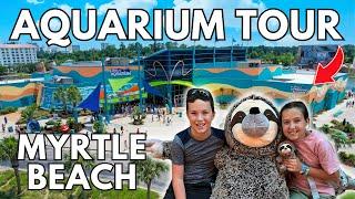 Ripleys Aquarium Myrtle Beach South Carolina Full Tour  Broadway At The Beach