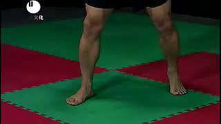 Wushu  Sanda  Basics  Beginner  Techniques Training