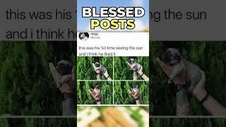 THE MOST BLESSED POSTS