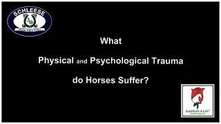 Traumatizing Your Horse?  Saddle Fitting Tip by Jochen Schleese