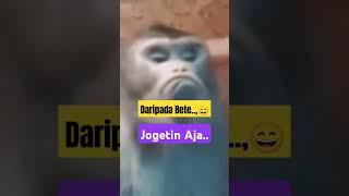 Jogetin Aja #cover#lucu#videolucu#hewanlucu