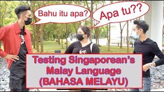 How Well Do Singaporean Malay Know Malay Words? PART 1