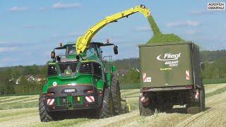 Der größte Hirsch im Grünroggen - John Deere 9900i - DOB Landtechnik