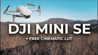 DJI Mini SE Cinematic Footage 2.7K - Still the BEST BUDGET DRONE + FREE LUT Sample Footage Download