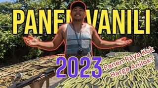 HARGA VANILI 2023 - PANEN RAYA HARGA LESU??