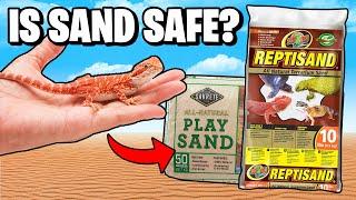 Is Sand Safe for Bearded Dragons?