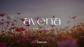 Discover Avena at The Valley