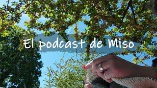 El podcast de Miso - Ep96 Recuperando la motivacion