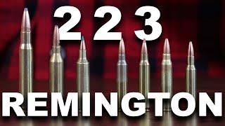 What Can the 223 Remington Really Do?