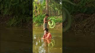 KING COBRA SNAKE SCARY PRANK ON BATH GIRL  SAGOR BHUYAN #girlprank #snakeprank #shortsvideo