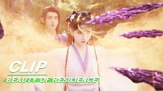 Wei Zhi Breaks out the Power of the Phoenix  Beauty of Resilience EP10  花戎  iQIYI