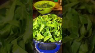 Collard Greens  ️Subcribe for More Content️#shorts #cooking #collardgreens #thanksgiving