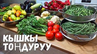 КЫШКЫГА ЖАШЫЛЧА ТОҢДУРУУТуура жолу️ Кышкы тондуруу Чак-Чак