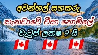 කැනඩා වීසා නොමිලේ. අවන්හල් සහකරු. වැටුප ලක්ෂ 9 යි hotel foreign job vacancies in canada free visa