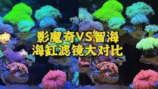 海缸滤镜你会选择哪一款，智海滤镜和影魔奇滤镜对比