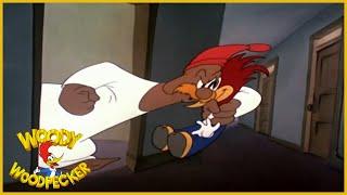 Woody Woodpecker  Smoked Ham  Full Episodes