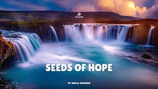 Taoufik - Seeds Of Hope Official Music 2024