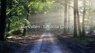 Lirik Señorita  - Via Vallen Cover