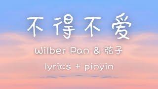 lyricspinyinengsub《不得不爱》- Wilber Pan & 弦子 bu de bu ai