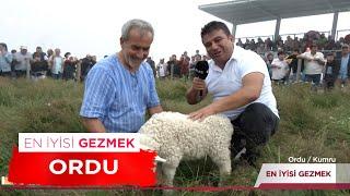 En İyisi Gezmek - Ordu  20 Temmuz 2024 #EnİyisiGezmek #HarunŞen #Ordu