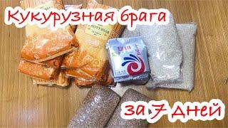 Кукурузная брага на кодзи за 7  дней